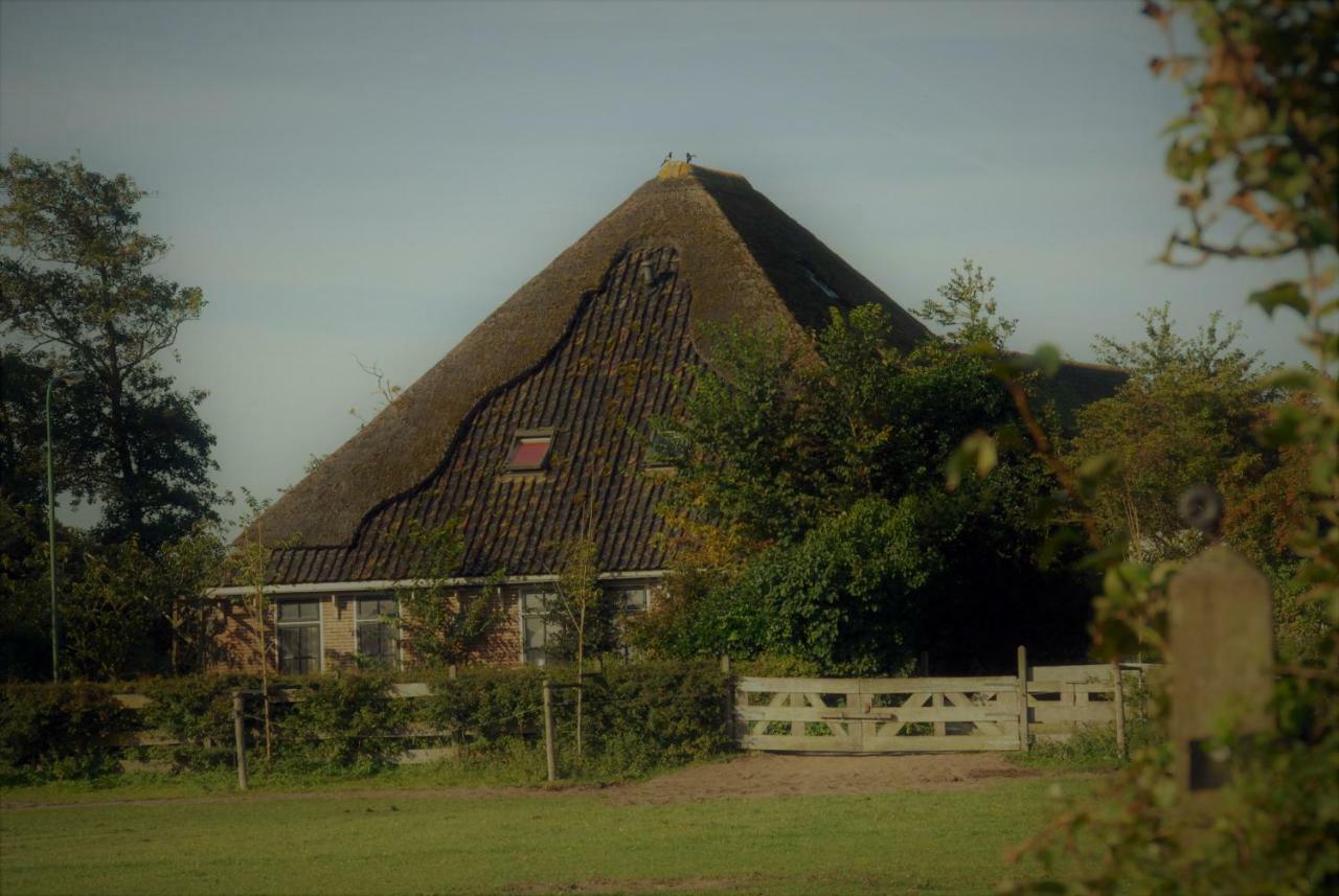 Sterrenhoeve Castricum Dış mekan fotoğraf