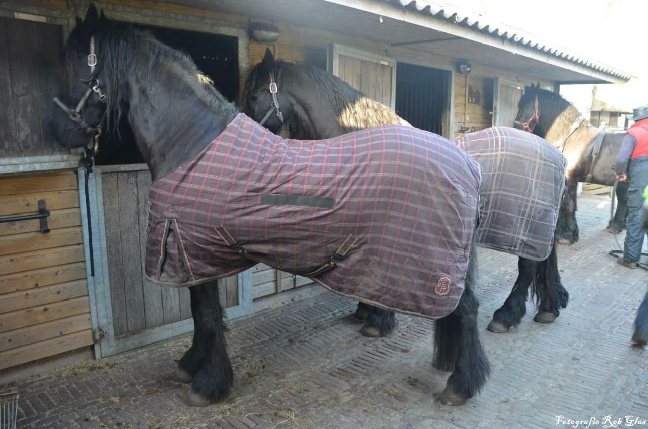 Sterrenhoeve Castricum Dış mekan fotoğraf