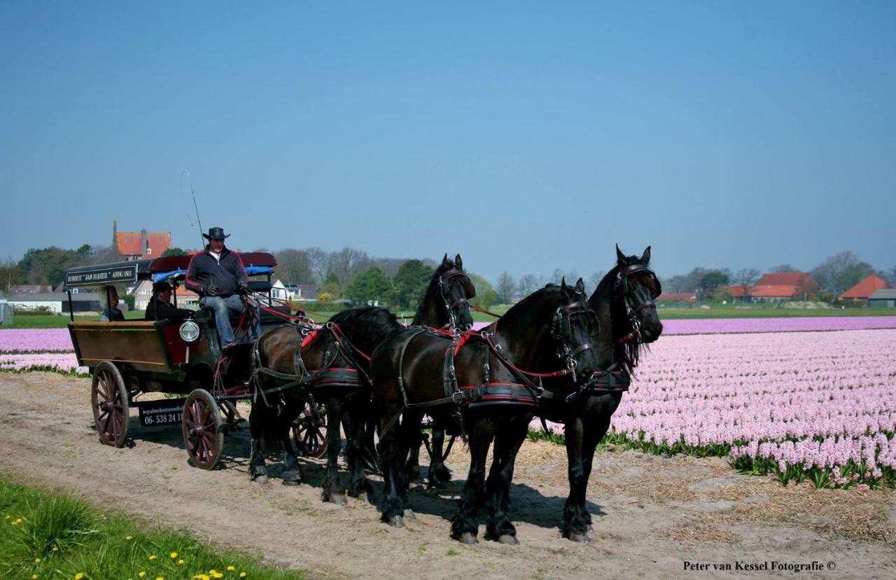 Sterrenhoeve Castricum Dış mekan fotoğraf